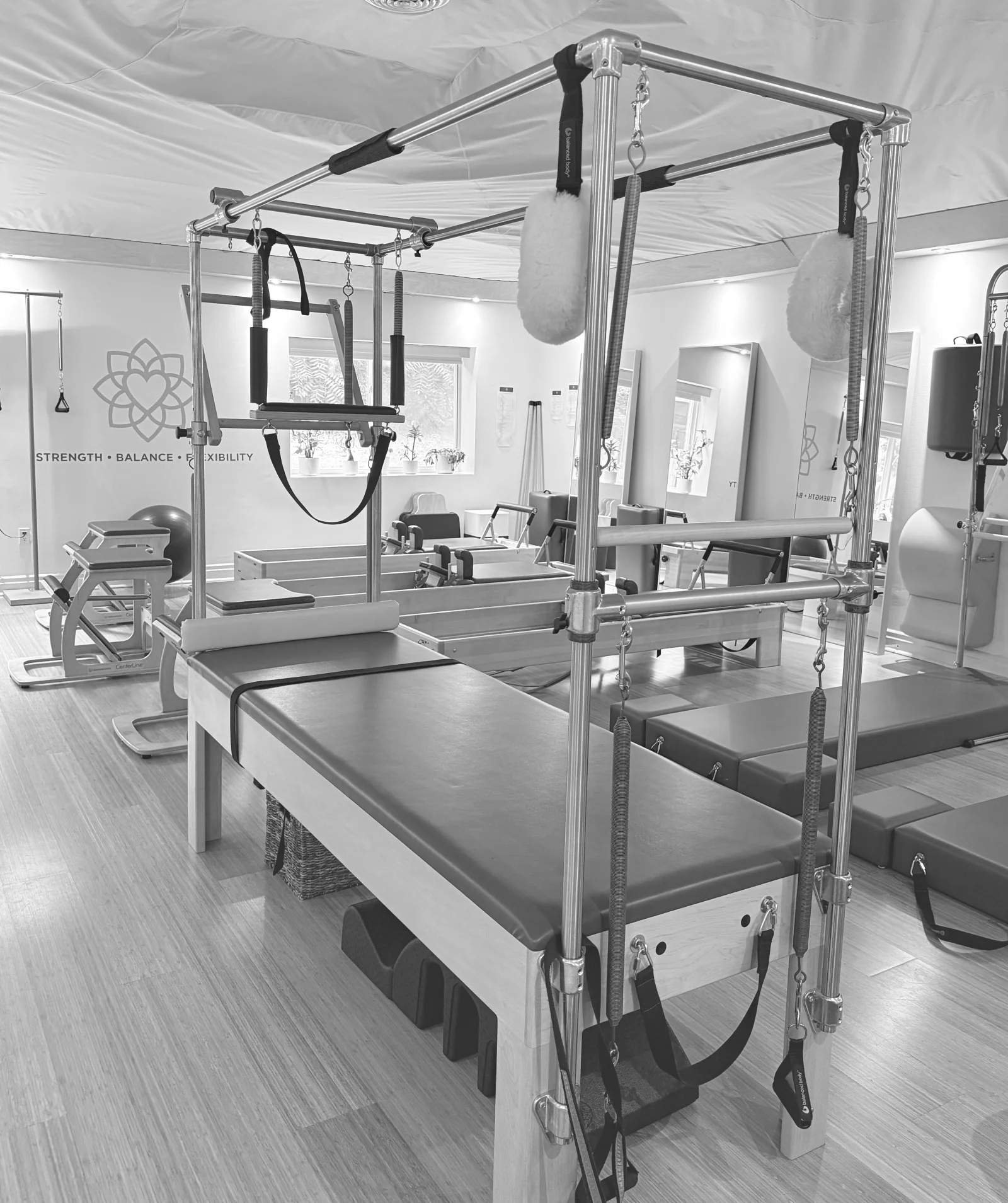 Cadillac with an overhead frame, springs and straps in the Heart of Movement studio