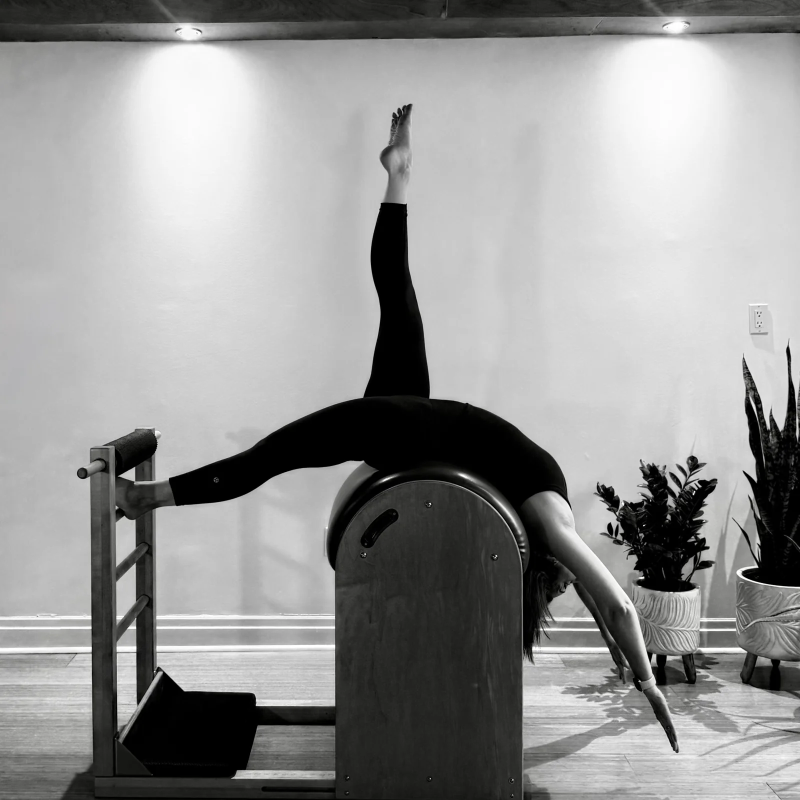 Joanne performing Tree on the Ladder Barrel at Heart of Movement