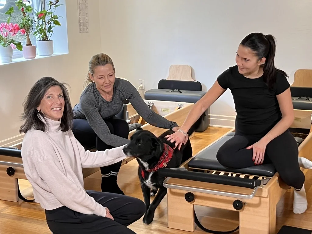 Three women enjoying a visit with a black dog beside the studio Reformers